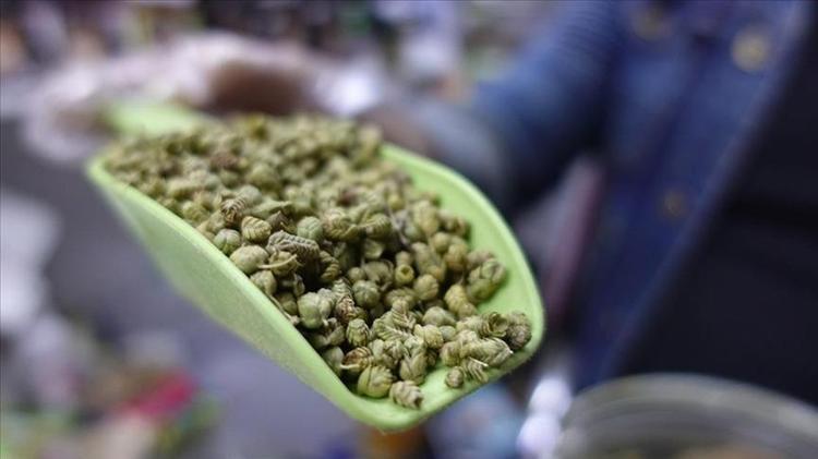 Doğanın bin yıllık antibiyotiği İltihabın kökünü kurutup bağışıklığı çelik gibi güçlendiriyor Limon ve sarımsaktan 10 kat daha etkili