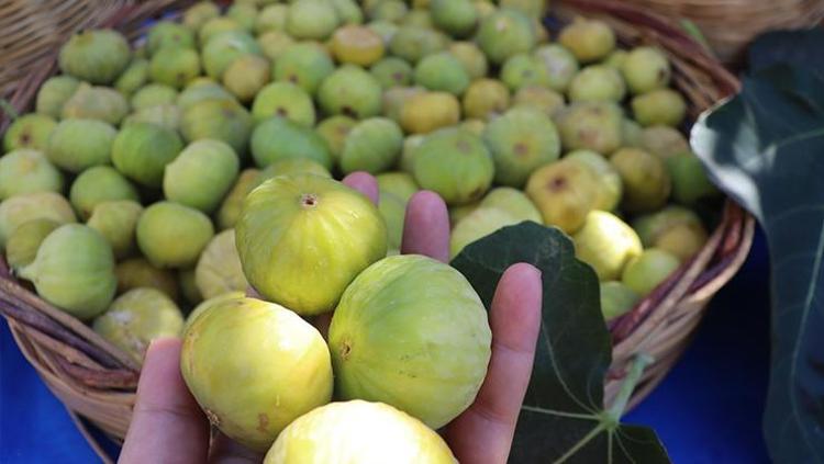 İncirin üstüne ekleyin Karaciğer yağlanmasının kökünü kurutuyor, düzenli tüketince iç organları çamaşır suyu gibi temizliyor