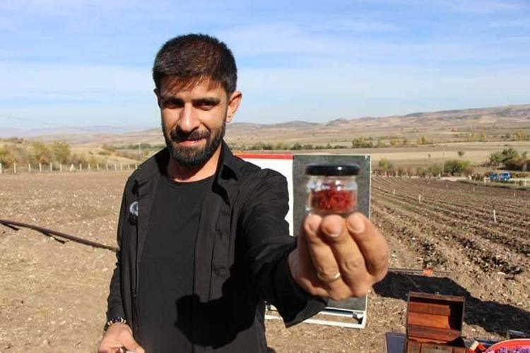 Dünyanın en pahalı baharatı, 1 gramı bile 500 TLden satılıyor Kan şekerini terazi gibi dengeliyor, antioksidan deposu
