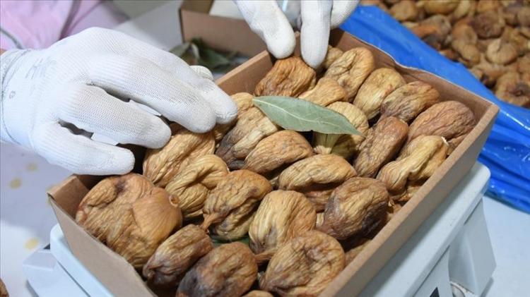 KALP VE DAMAR SAĞLIĞINI KORUR