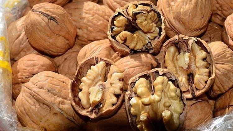 CEVİZLE TÜKETİN, ETKİSİNİ KATLAMASIN