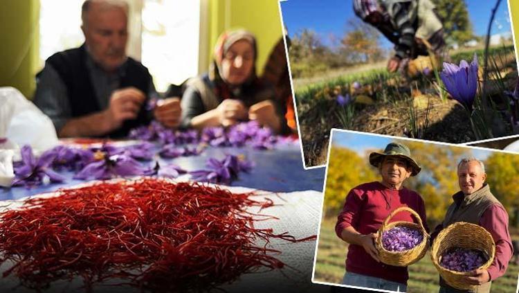 Kilosu 600 bin TL ama şifası paha biçilemez Sıcak suya 1 kaşık karıştırıp için: Doğal mide ilacı, bağırsakları motor gibi çalıştırıyor