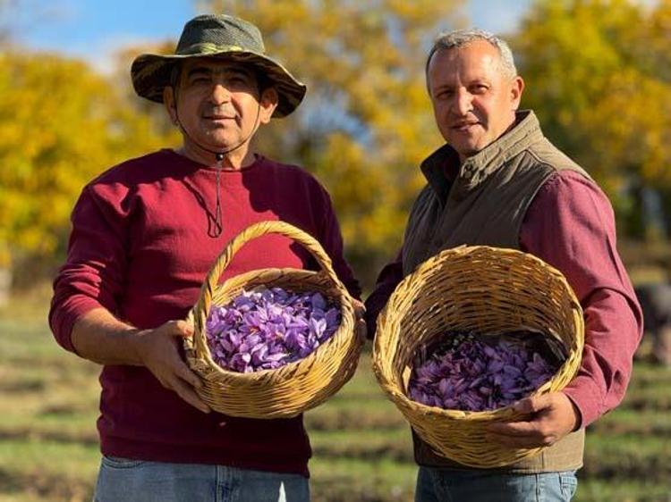 Kilosu 600 bin TL ama şifası paha biçilemez Sıcak suya 1 kaşık karıştırıp için: Doğal mide ilacı, bağırsakları motor gibi çalıştırıyor