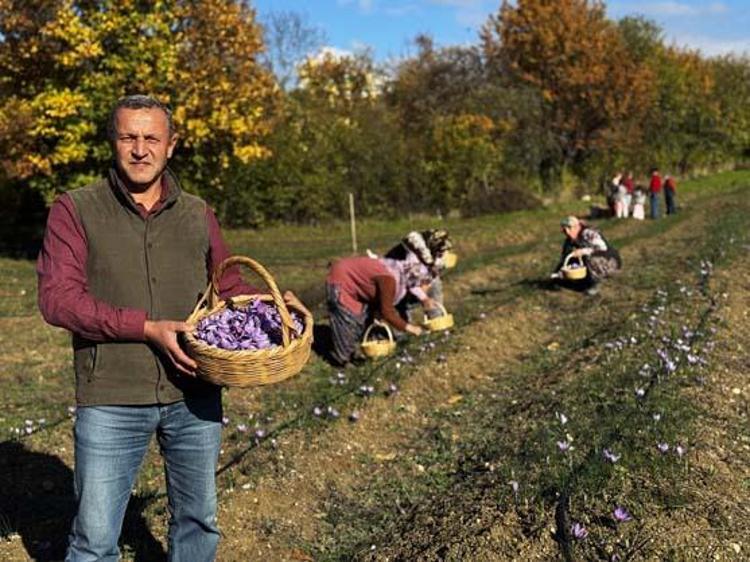 Kilosu 600 bin TL ama şifası paha biçilemez Sıcak suya 1 kaşık karıştırıp için: Doğal mide ilacı, bağırsakları motor gibi çalıştırıyor