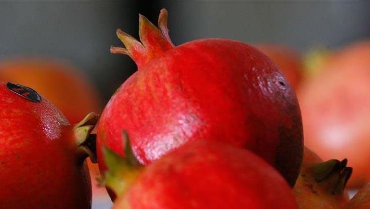 BİLİMSEL ARAŞTIRMALARLA DESTEKLENEN GÜÇ