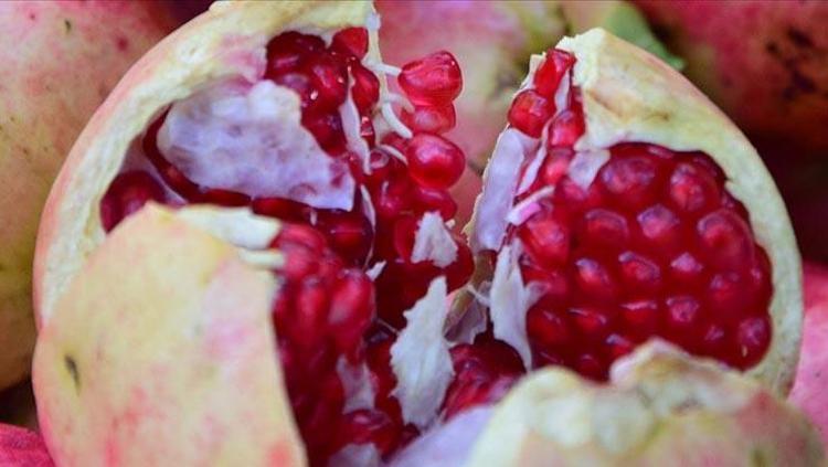 BAĞIŞIKLIK SİSTEMİNİ GÜÇLENDİRİR