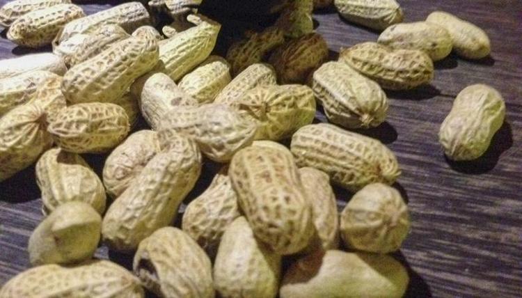 Sessiz kahraman: Kolesterolü asansör gibi aşağı çekiyor, damarları adeta süpürüyor: Her gün avuç içi kadar yiyin