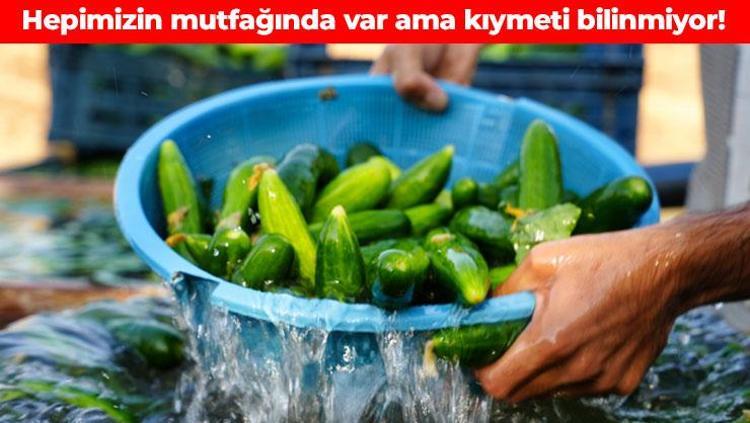 Yüzde 95i sudan oluşuyor Pazardan, manavdan kilo kilo alın: Vücudu dip köşe arındırıyor, doğanın su deposu olarak biliniyor