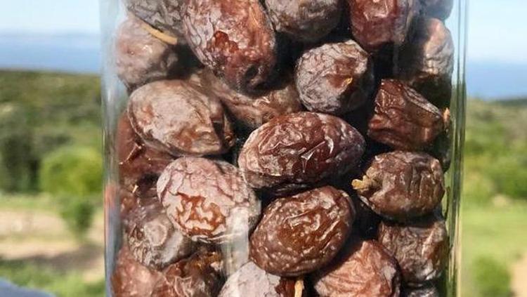 FURMA ZEYTİNİNİN FAYDALARI NELERDİR