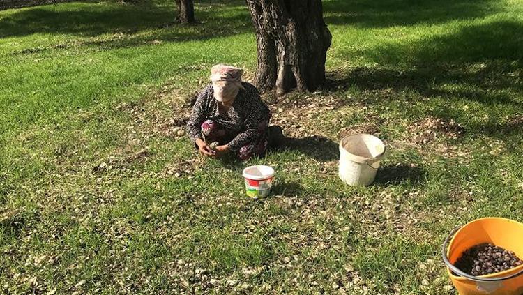 Kahvaltıların vazgeçilmez lezzeti Kilosu 250 TL: En kalitelisi oymuş, tıkalı damarları yağ çözücü gibi açıyor