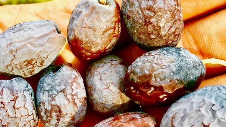 Kahvaltıların vazgeçilmez lezzeti Kilosu 250 TL: En kalitelisi oymuş, tıkalı damarları yağ çözücü gibi açıyor