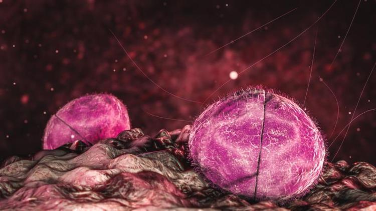 BAŞTA SOLUNUM YOLU ENFEKSİYONU SANILIYOR