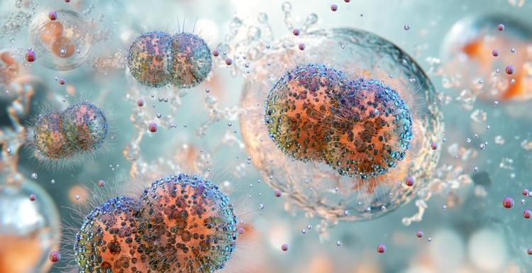 EN YÜKSEK RİSK BU GRUPLARDA