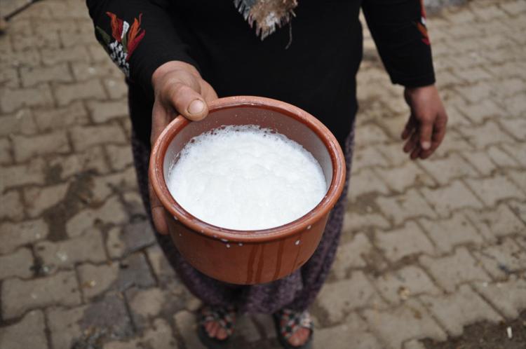 Günlerce bozulmayan doğal lezzet Ne inek ne koyun en faydalısı buymuş: Kemikleri beton gibi yapıyor