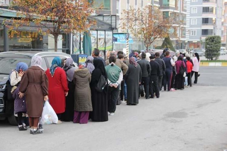 Kilosu 40 TLye kadar düştü Kolesterolün kökünü kazıyıp kemikleri betona çeviriyor