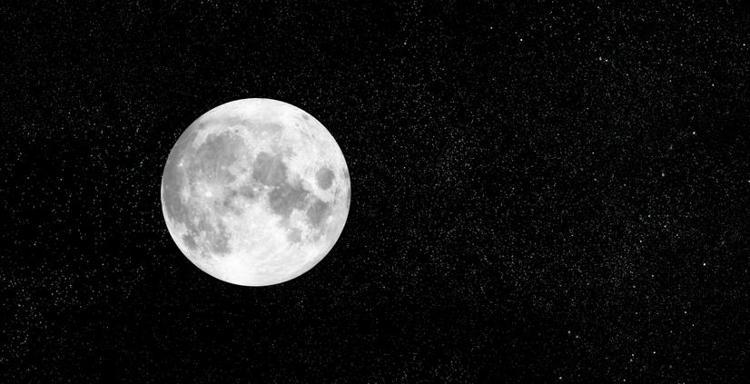 GÖZLEMİN EN GÜZEL ANI