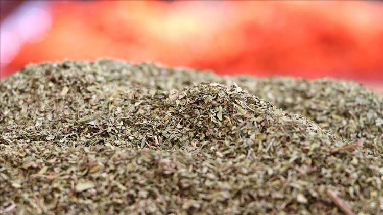 STRESİ AZALTIR, ZİHNİ CANLANDIRIR