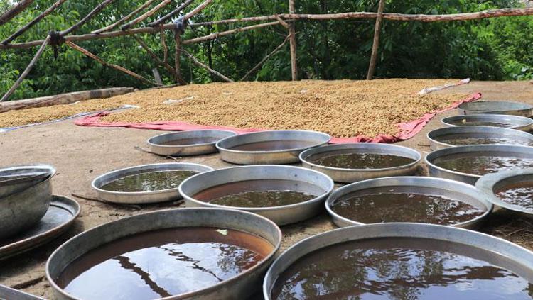Anadolunun enerji iksiri Soğuk havalarda kaşık kaşık tüketin