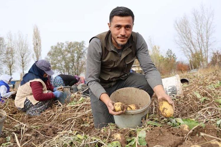 PATATESİN FAYDALARI NELERDİR