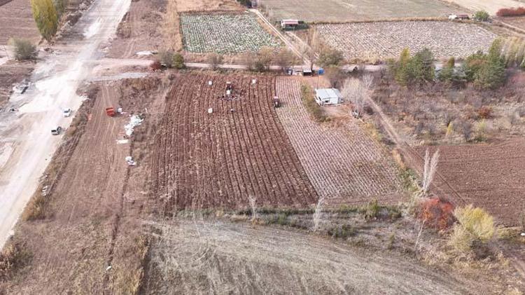 Sivasta senenin son hasadı başladı Tarlada kilosu 12 TL: Sindirim sorunlarını geçirip kemikleri betona çeviriyor
