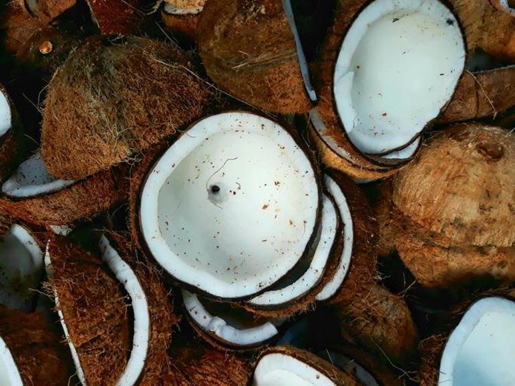 HİNDİSTANCEVİZİ RİTÜELİ