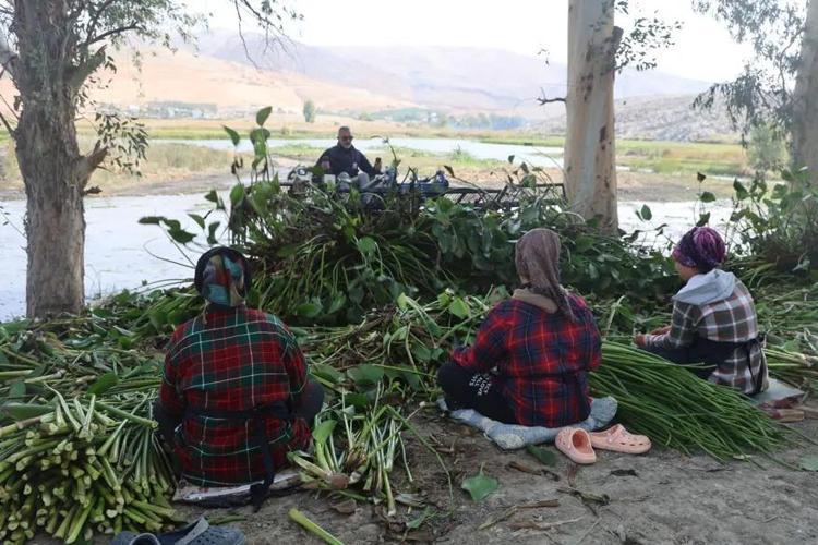 Göl yüzeyinden toplandı, kadınların ellerinde sanat eserine dönüştü Depremzedelerden ilham veren dönüşüm