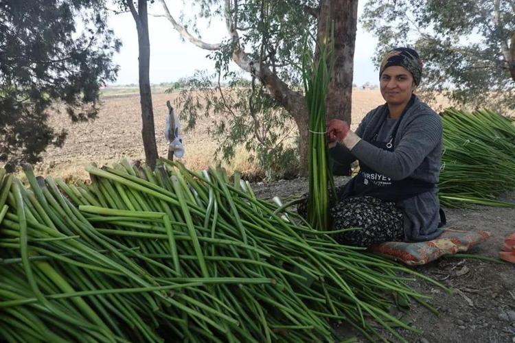 Göl yüzeyinden toplandı, kadınların ellerinde sanat eserine dönüştü Depremzedelerden ilham veren dönüşüm