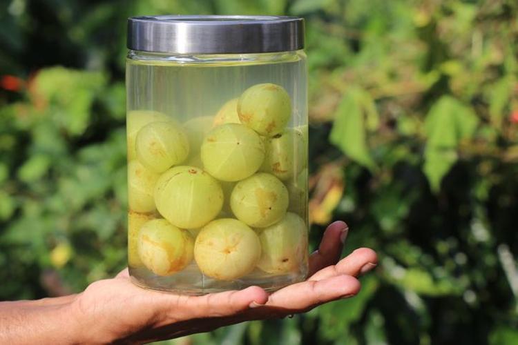 Portakaldan 20 kat daha fazla C vitamini içeriyor Süper besinler listesinde yer alıyor