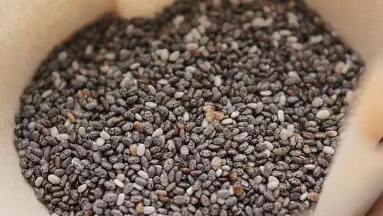 Chia tohumunu kimler tüketmemeli Uzmanlar uyarıyor: Faydalı tohumun riskli olabileceği 5 kritik durum