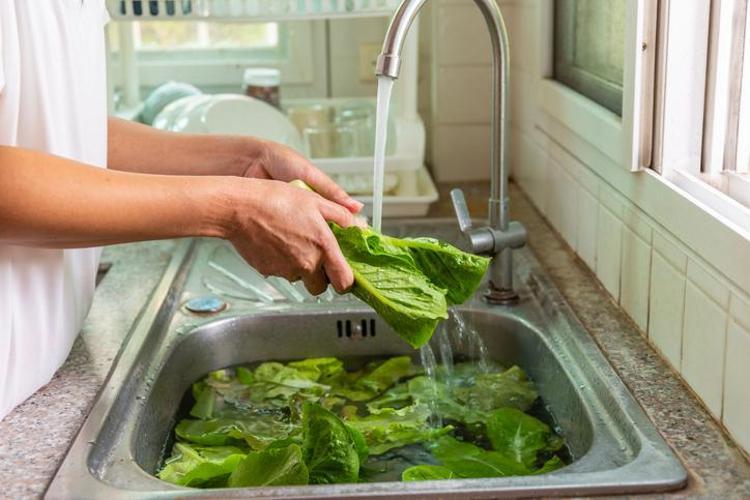 Marul ve maydanozdaki pestisiti arındırıyor 2 malzeme kullanmak yetiyor, tertemiz yapıyor