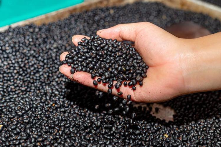 KAHVALTILARIN YENİ YILDIZLARI