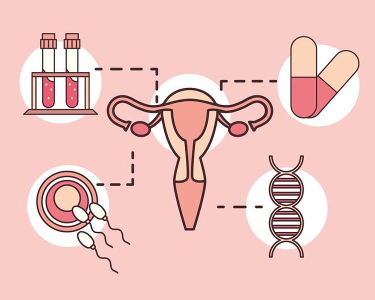 Kilo artışı önemli tetikleyiciler arasında 35 yaşından sonra risk artıyor, adette düzensizlik varsa dikkat