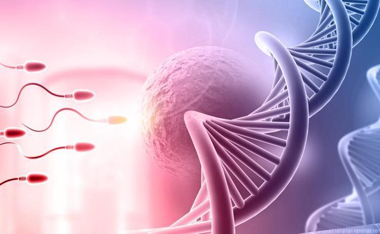 Kilo artışı önemli tetikleyiciler arasında 35 yaşından sonra risk artıyor, adette düzensizlik varsa dikkat