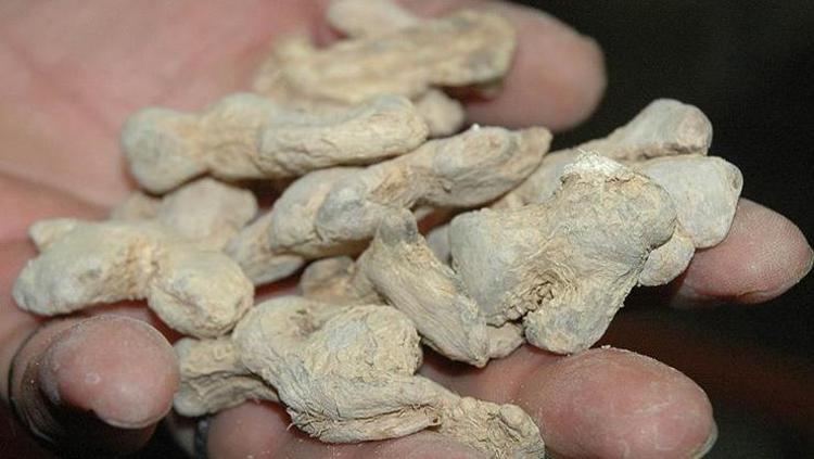 BİLİM DE ONAYLIYOR