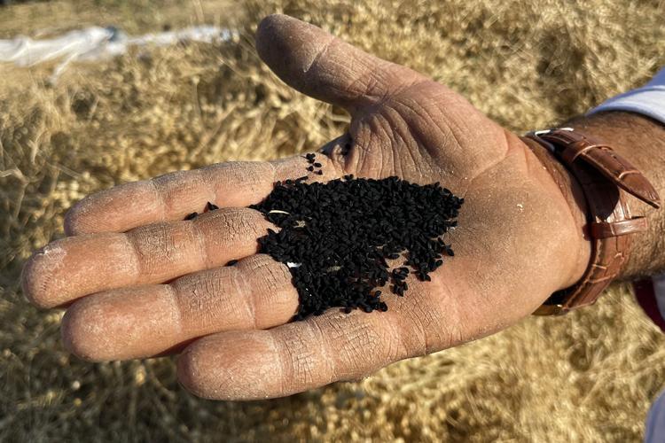 Karaciğeri tertemiz yapan köy mucizesi Sadece 1 kaşığı toksinleri siliyor