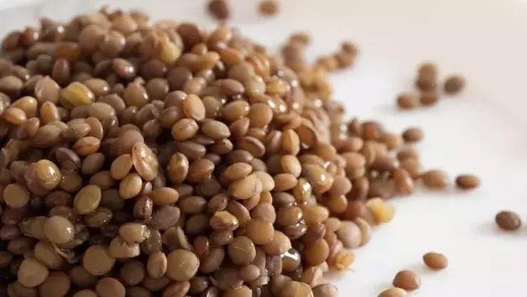 BAĞIŞIKLIĞI GÜÇLENDİRİYOR