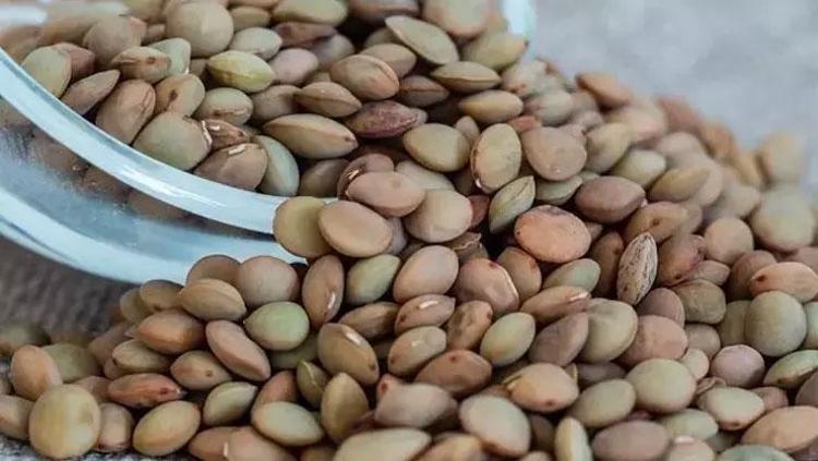 SİNDİRİM SİSTEMİNE DESTEK OLUYOR