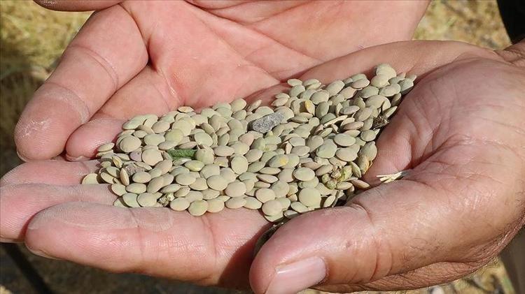 ENERJİ VERİR VE TOK TUTAR