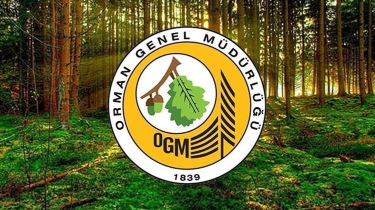 TARIM VE ORMAN BAKANLIĞI PERSONEL ALIMI 2025 Orman Bakanlığı 496 personel alımı ne zaman