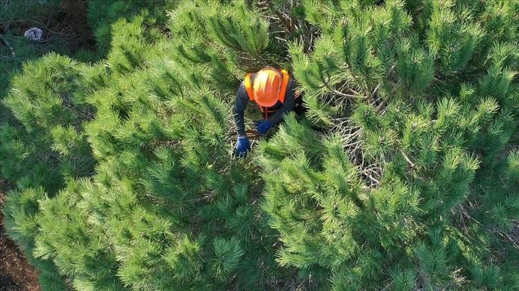 496 PERSONEL ALIMI BAŞVURULARI NE ZAMAN YAPILACAK