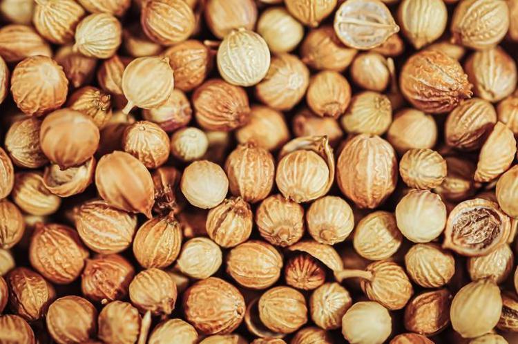 Tartıya çıkınca mutlu olabilirsiniz Metabolizmayı uykusundan uyandırıyor