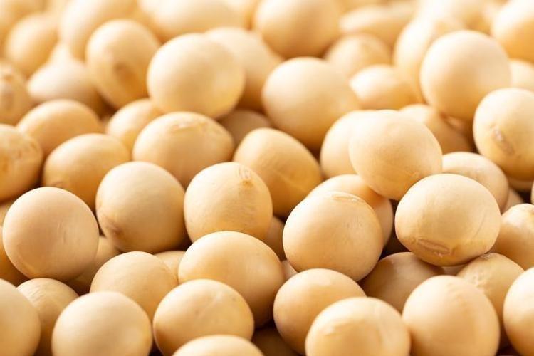 “Kemikleri adeta çelik gibi güçlendiriyor”: Uzmanlar soya sütü gerçeğini açıkladı