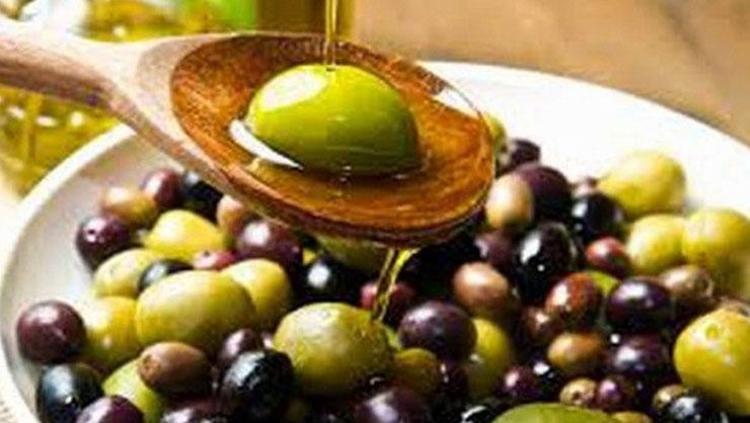 Bodrumda hasadı başladı Hem doğanın armağanı hem kültürel miras