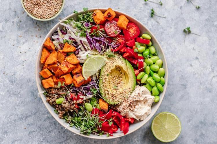 VEGAN VE VEJETARYEN DİYETLER ARASINDAKİ BESİNSEL FARKLAR