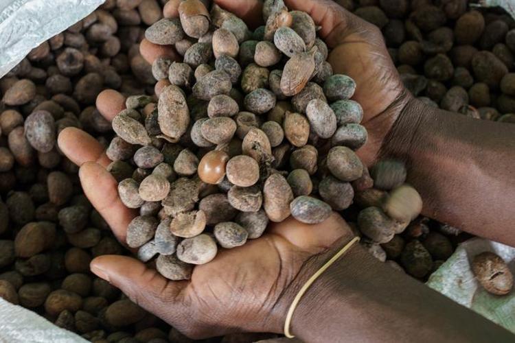 Cilde anında 10 yaş gençlik etkisi veriyor Egzamanın en kesin çaresi: Cildin pul pul dökülmesini engelliyor