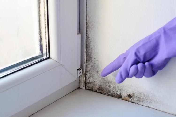Kara kış kapıya dayanmadan duvara bant yapıştırın Sebebi sandığınızdan daha önemli