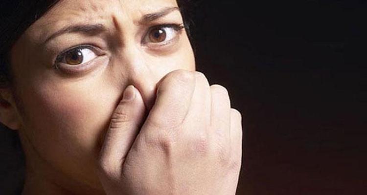 Ağız hijyeni bağırsaklarla alakalıymış Vücudu iltihapların sarmasına neden oluyor