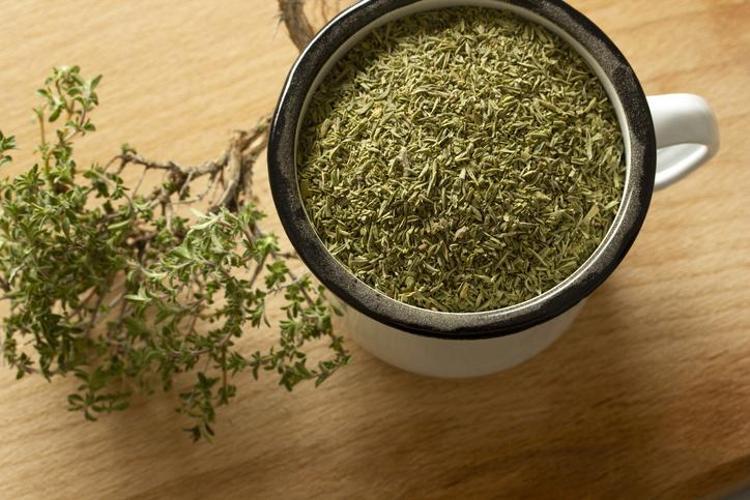 TARİH BOYUNCA KEKİK KULLANIMI