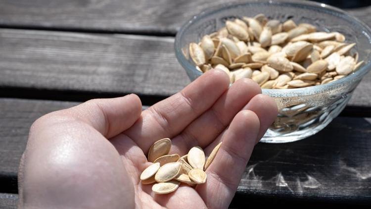 MAGNEZYUM ZENGİNİ KABAK ÇEKİRDEĞİ