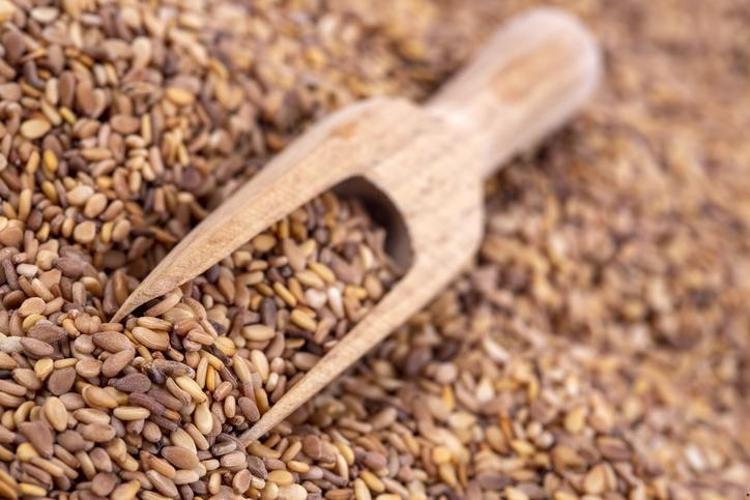 BESİN DEĞERİ OLDUKÇA YÜKSEKTİR